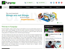 Tablet Screenshot of flyingedgesolution.com